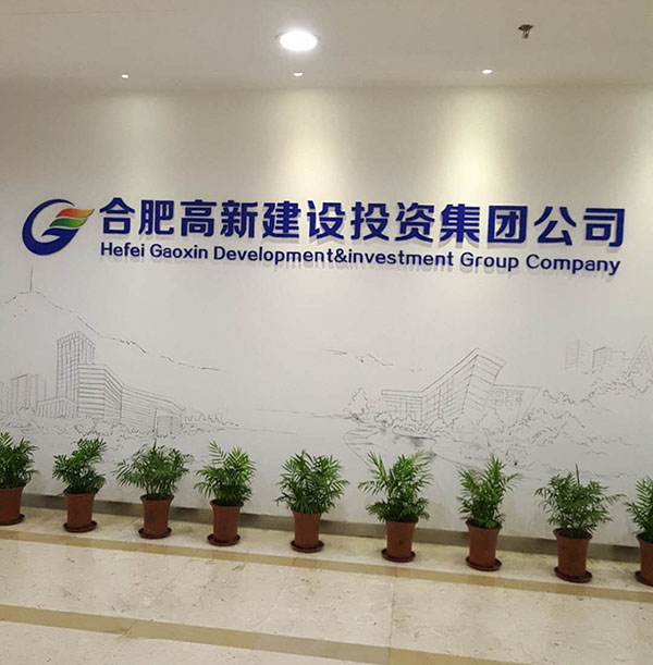 合肥高新投資.jpg